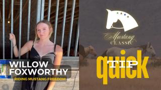 Mustang Classic QUICK TIP - Willow Foxworthy & Freedom