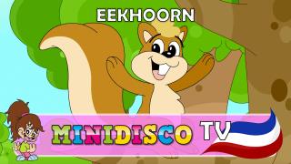 Eekhoorn