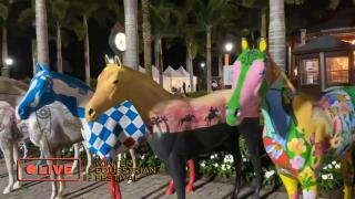 Street Scenes from Winter Equestrian Festival at Wellington International 