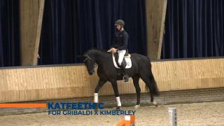 Katfeeth C - For Gribaldi x Kimberley