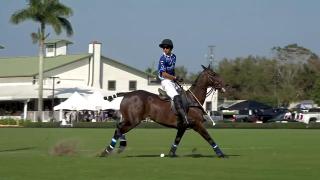 C.V. Whitney Cup FInal from U.S Polo Assn. on EQUUS