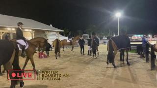 Winter Equestrian Festival at Wellington International