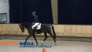 Nicole - Comthago x Carvallo