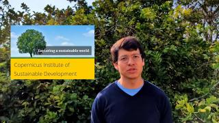 User Research in developing the virtual human platform