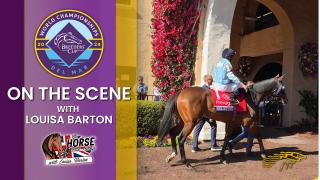 On the Scene at the 2024 Breeder's Cup with Louisa Barton