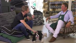 Huisdieren TV | 3.8 | Hond George is dol op kruidenkoekjes