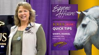 QUICK TIP - Sheryl Mankel Connected Healing LLC - 2023 EQUINE AFFAIRE