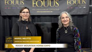 Rocky Mountain Horse Expo - Diana De Rosa Interview With Mariel Melitto of the American Vaulting Association