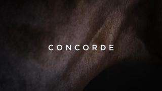 Legendary Lane: Concorde