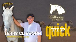 Mustang Classic QUICK TIP - Terry Clibborn riding Clancy