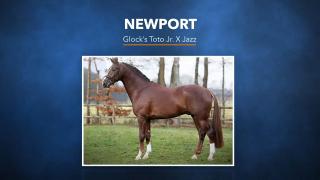 Newport - Glock's Toto x Jazz