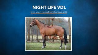 Night Life VDL - Erco van 't Roosakker x Arezzo VDL