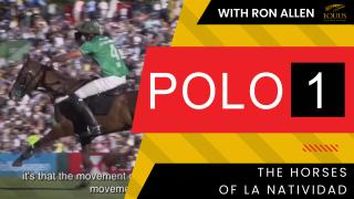 Polo 1: The Horses of La Natividad with Ron Allen 01.25.23